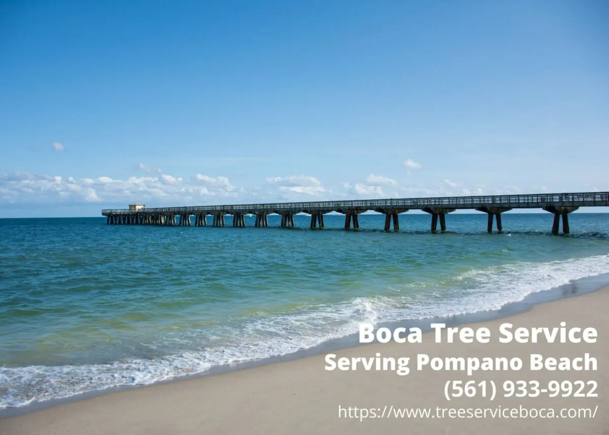 Pompano Beach Pier with the business info of Boca Tree Service - a tree service company serving Pompano Beach