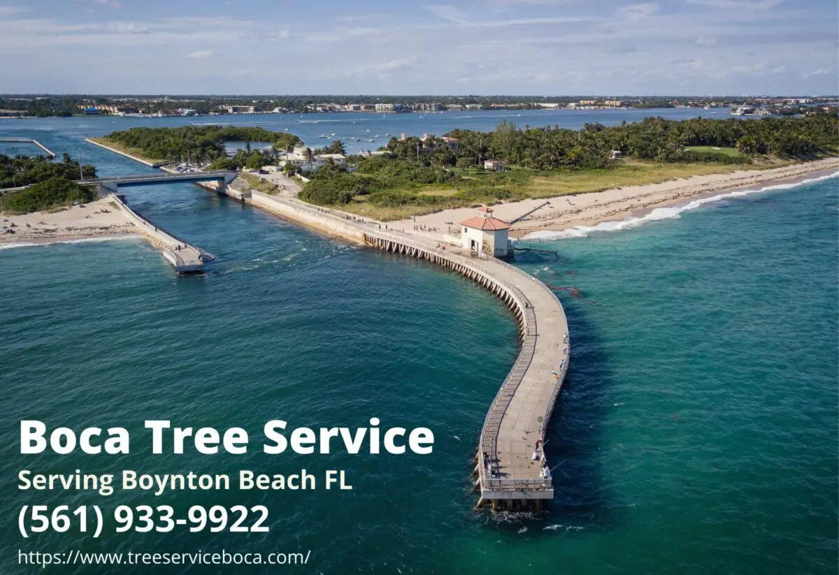 Boynton Beach Tree Service FL