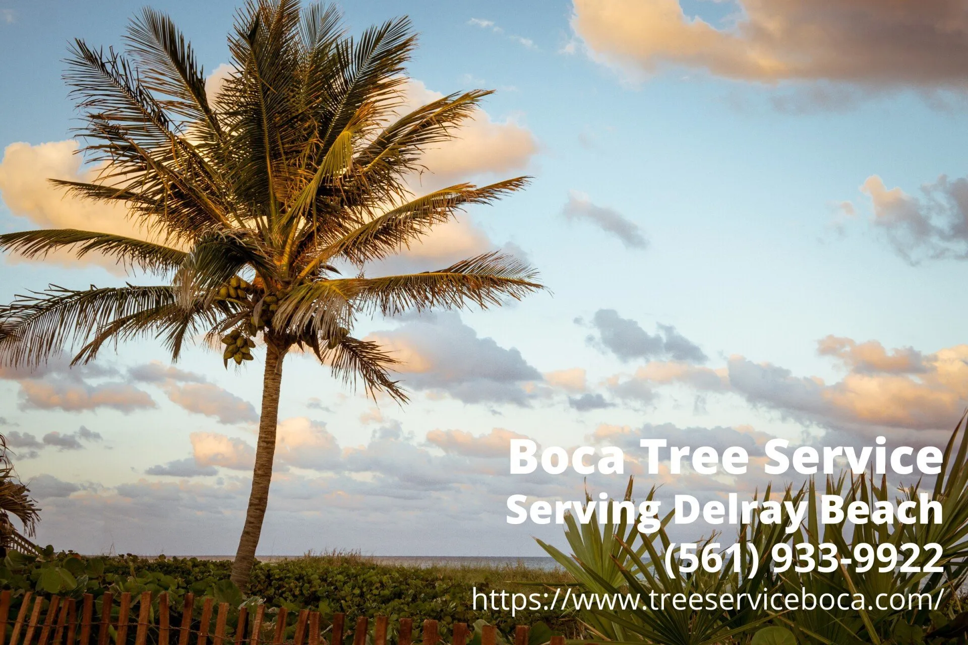 a sky bursting red and yellow taken Delray Beach with the contact info of Boca Tree Service, a tree company serving Delray Beach FL